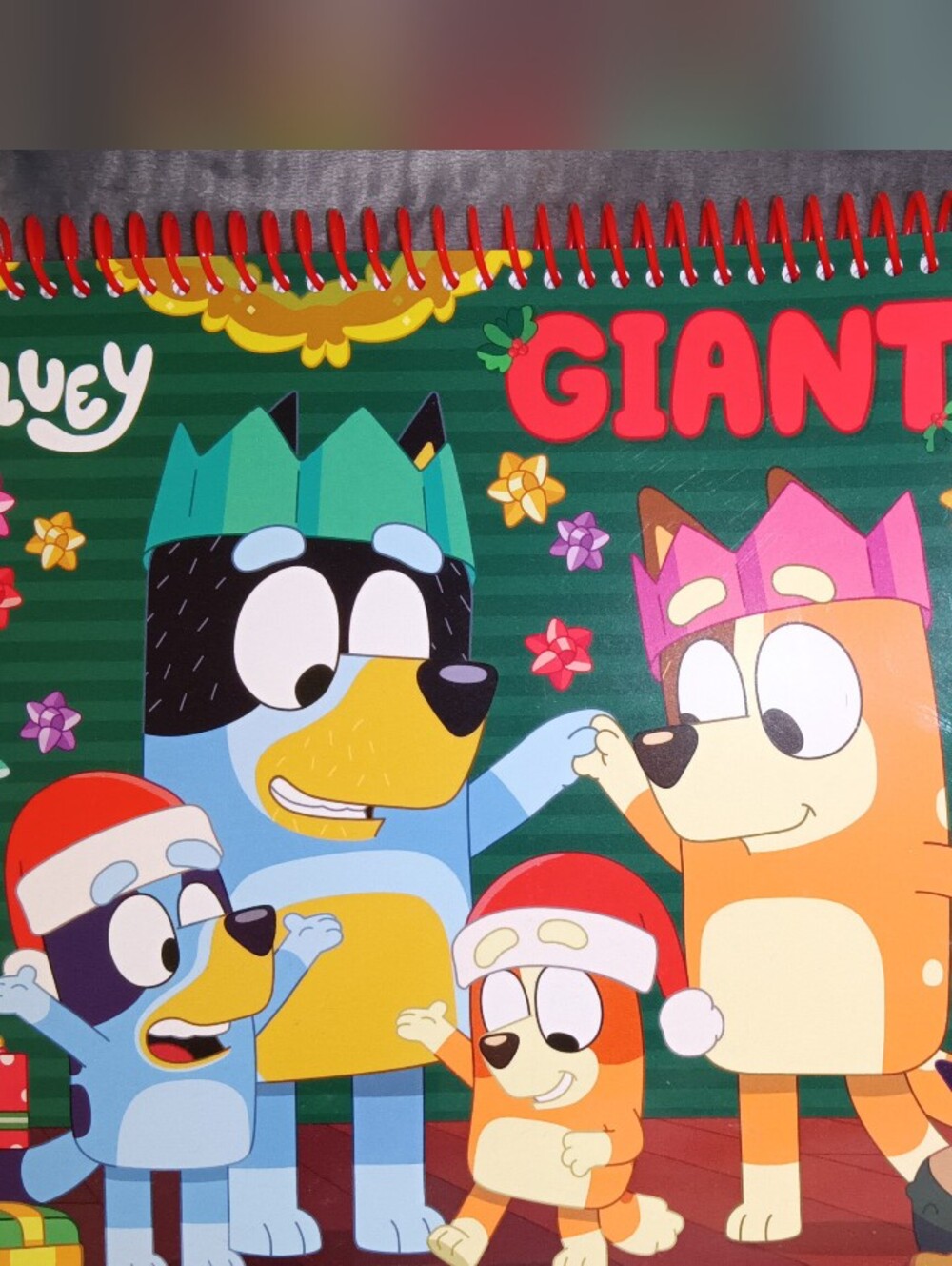 GIANT Coloring Activity Book - Cartoon Bluey Family